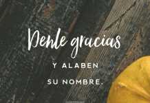 Dad Gracias