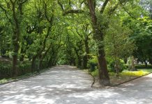 Camino desde casa