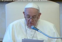 Papa en Audiencia General: No podemos defender la vida y luego tolerar el racismo