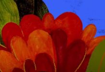 ¡Es momento de ayudar! Lili Gastelum Embajadora de Freedom Game 2021