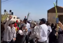 Cristianos de Papúa Nueva Guinea bailaron por las calles de Jerusalén el Domingo de Ramos